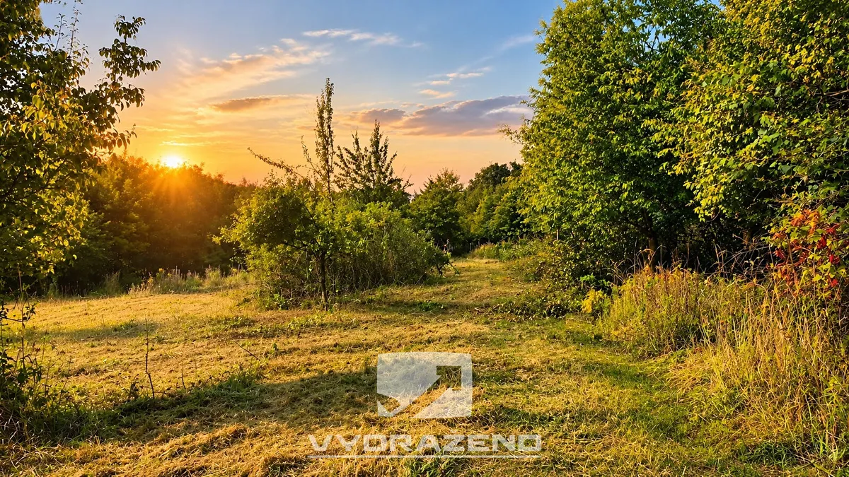 Prodej louky 9862 m²